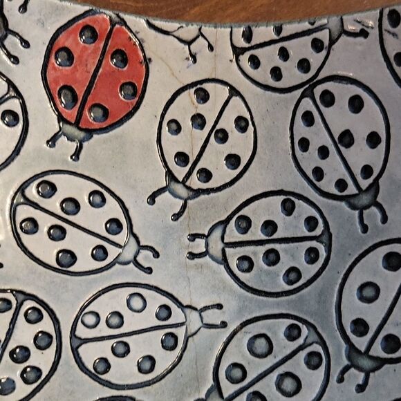 Stoneware Curved Square Ladybug Catch All Table Bowl Dish HOST PICK - Picture 5 of 9